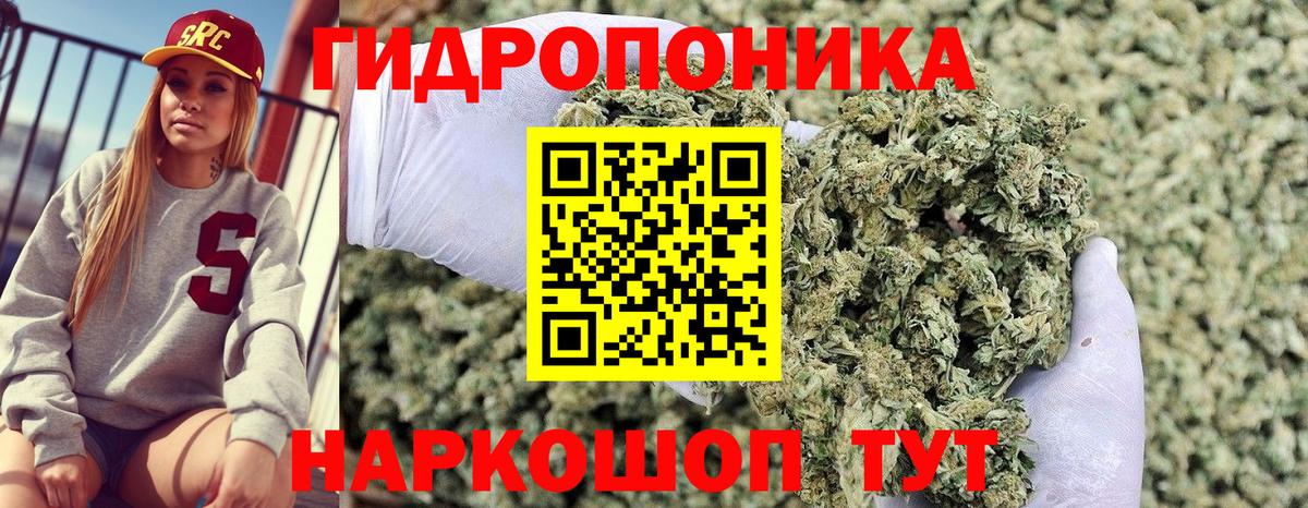 Бошки Шишки гибрид Белебей